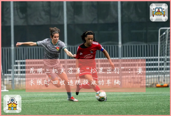 昆明三机关召集“松果出行”：要求限时回收违规投放的车辆